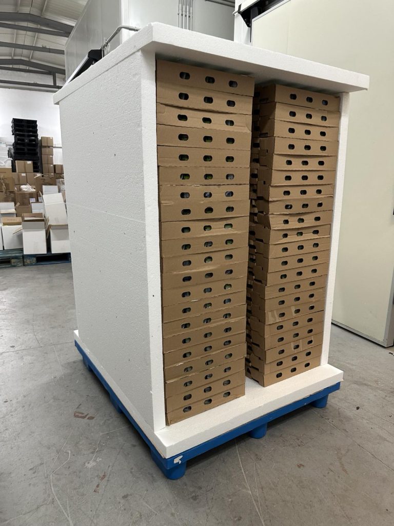 Yogurt Sending in Polystyrene Boxes